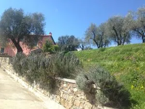 Villa Giovanna Apt. B - Bargone