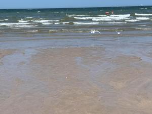 Jolie maison proche des commerces et de la plage