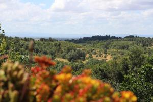 Casa Rural - Apartamentos Atuvera