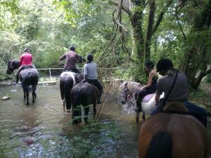 Campings Ecuries Leseigneur - Camping Insolites : photos des chambres