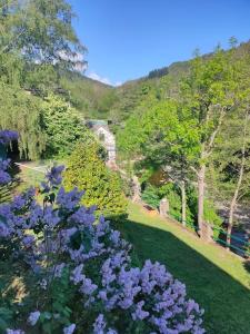 Maisons de vacances Le Secret du Moulin, agreable tiny house Villefort : photos des chambres