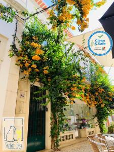 Senhor Gigi - 4hvězdičkové hotely ve městě Faro