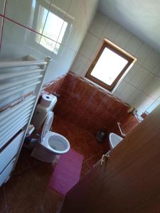 Apartments & Rooms Ramljak