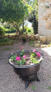 Maisons de vacances propriete familiale MERLE proche PARAY LE MONIAL : photos des chambres