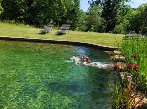 Maisons de vacances Gite Le Gros Chataignier : photos des chambres