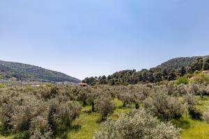 Estia A - Studios & Apartments