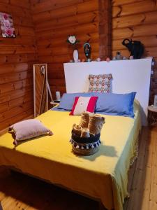 B&B / Chambres d'hotes Chalet zen : photos des chambres