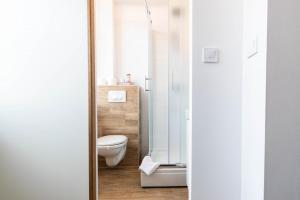 Center Studios Apartments Pula