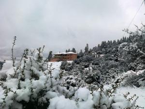 Vytina Mountain View Hotel Arkadia Greece