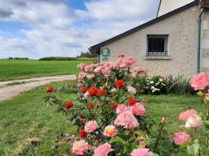 Maisons de vacances Gite Couddes, 3 pieces, 6 personnes - FR-1-491-28 : photos des chambres