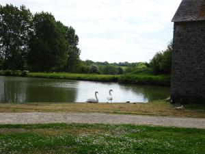 Maisons de vacances Country house on a beautiful medieval estate : photos des chambres