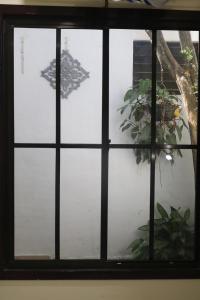 Apartamento San Carlos