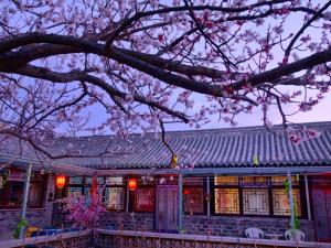 Beijing Badaling Great Wall Caos Courtyard guesthousel 1Private english tour guide 2Pick up&Drof off &landmark visiting serivice3Very near to Badaling Great Wall4Offer free beijing travel guide5Traditonal Chinese courtyard