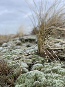 Ferienwohnung Heckermann 19