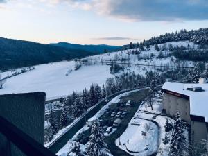 Appartements La Colombe a Villard : photos des chambres