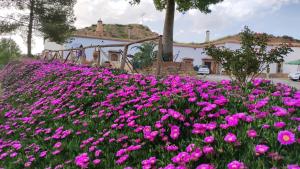 Cuevas Cortijo Gachas