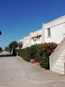 Casa pappagallo img5