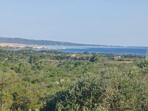 Casa pappagallo img10