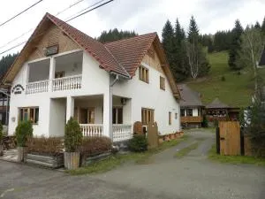 Pensiunea Irina - Botuşel