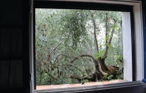 Maisons de vacances Stunning Home In Chateauneuf De Grasse : photos des chambres