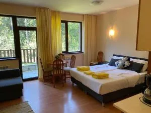 Flora Ski-slope Studio Apartment - Borowec