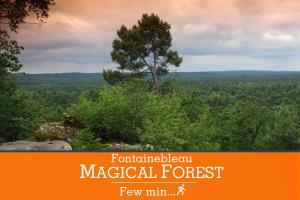 Duplex standing 7min➤Fontainebleau-INSEAD⎮45min➤Paris