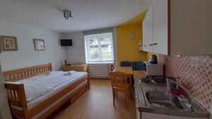 Apartmán Klondajk Harrachov