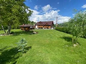 Pensiunea Casa Pancu - Pintic