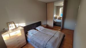 Dviejų kambarių apartamentai Klaipėdos centre