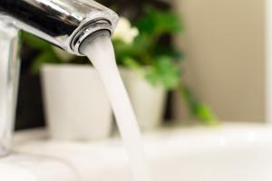 Piattellina Five Senses