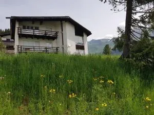 Arp (386 Bä) UG - 瓦尔贝拉