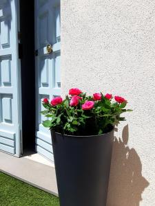 Bianca - Marlù House - img41