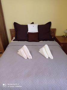 APARTAMENT PLAC KATEDRALNY