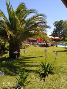 Mediterráneo Cabañas