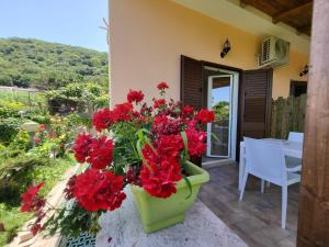 B&B Villa Valeri