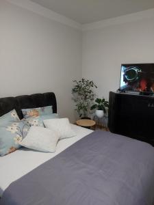 Link Kauno marių...