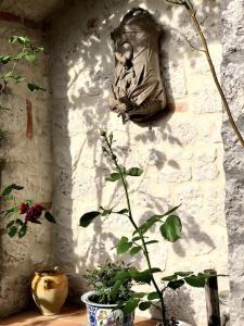 Maisons de vacances A Little Gem on the Banks of the River Dordogne : photos des chambres