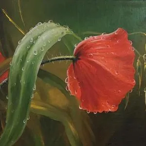 Link Kauno marių... - Viršužiglis