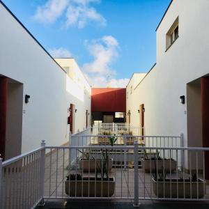 Surfing, Sun and Fun