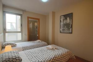 Homeincalpe Borumbot