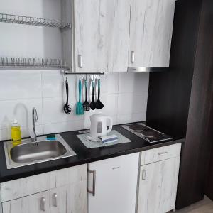 Centar Novi Sad Studio No4 PARKING ON REQUEST