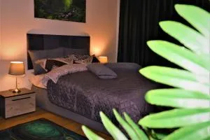 Ummagumma Studio Apartment - Apărătorii Patriei