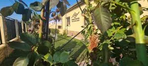 Patrik Deluxe - Nădab