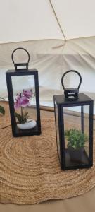 Domaine Authentique de Rose