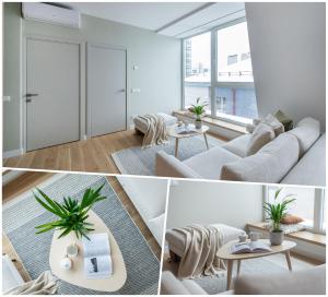 Platinum apartment