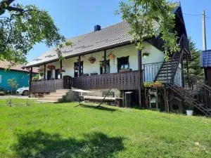Casa Bunicilor - Scheia