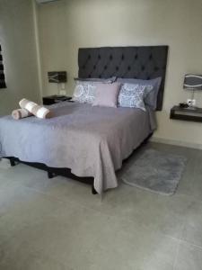 Casa amplia con Alberca y Roof Garden