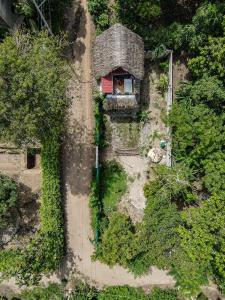 Rustiko Palomino Sierra Nevada