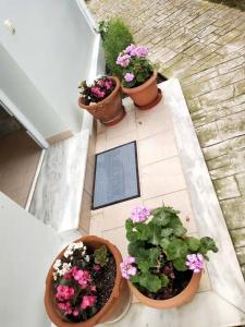 Kalamaki Court Villas