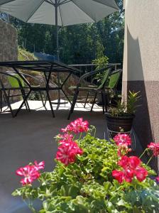 Apartment Zlatko 